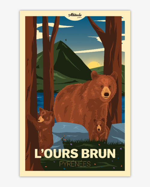 carte-postale-ours-brun-pyrenees-altitudeposters Carte postale L'Ours brun Pyrénées