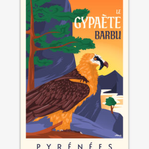 Affiche Gypaète barbu Pyrénées