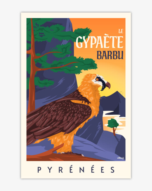Affiche Gypaète barbu Pyrénées