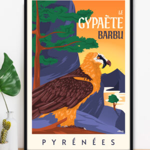 Affiche Gypaète barbu Pyrénées