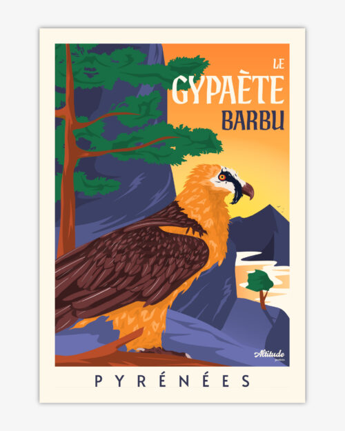 carte-postale-gypaete-barbu-pyrenees-altitudeposters Carte postale Gypaète barbu Pyrénées